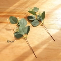 Artificial eucalyptus branch with white berries and matte green leaves, 15cm length - Money Leaf M (Set of 2)