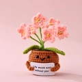 Handmade crochet potted pink flowers with a positive potato doll and greeting card - Positive Potted-Forget-me-not Pink