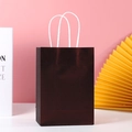 Glossy dark brown gift paper bag with white rope handles for premium shopping and gifting - Coffee