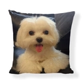 Linen pillow cover featuring a cute Maltese puppy print on dark leather background - Square (No Insert) / Maltese Dog Style (AB6821-1)