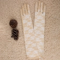 Elegantes guantes largos de encaje beige para bodas y fiestas sobre fondo de peluche - Talla única / 53cm Beige