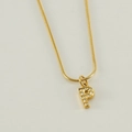 Gold-plated stainless steel snake chain necklace with sparkling letter P pendant - Letter P / Gold