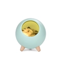 Lampe maison pour animaux bleu clair avec pieds en bois et lumière chaude pour enfant - Style Veilleuse / Vert