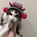 Grey knitted pet hat for cats and small dogs featuring pink hair rollers and chin strap - Grey (Style B)