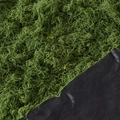 Deep Green Moss 1m*1m