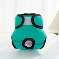 Detailed view of mint green female dog physiological pants with adjustable velcro and tail hole - XS / Green