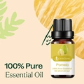 Pure pomelo essential oil in a 10ml amber glass dropper bottle for aromatherapy - Pomelo (grapefruit) As A Single Ingredient
