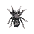 Macro view of vintage spider brooch featuring black rhinestones and a grey cat eye stone - Silver Cat Eye Stone Spider