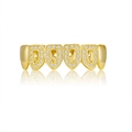 Iced out gold plated hip hop grillz featuring 6 teeth set with sparkling zircons - Lower / Gold