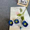 Artificial blue poppy bouquet with three blooming flowers and a bud for home decor - Sapphire Blue