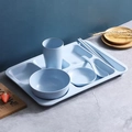 Eco-friendly wheat straw divided dinnerware set in light blue with plate bowl and cup - Nordic Blue