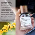 Osmanthus tea car aromatherapy 160ml liquid air freshener in round glass bottle - Large Time - Osmanthus Rain