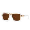 Modern retro square oversized sunglasses with transparent frame and gold metal accents - Transparent Frame Tea Lens