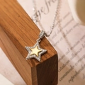 Collana con pendente a stella bicolore oro e argento con pavé di zirconi cubici lucidi - Stella Bicolore (24602)