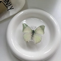 Collapsible mint green butterfly phone grip and stand on a white minimalist background - Green Butterfly