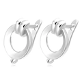 Macro view of silver-toned lever-back earring hooks with bottom connection loops - Silver Ring (Style 11)