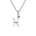 Polished silver stainless steel necklace featuring a minimalist Pisces zodiac symbol pendant - Pisces-Steel Color