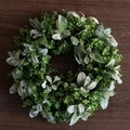 Artificial spring eucalyptus and boxwood wreath for door decor on dark wood background - Money Leaf Wreath with Rabbit Ear Leaves 50CM