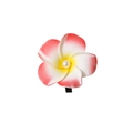 Pink and white gradient plumeria hair clip with yellow center and pearl detail - Pearl Style / 6cm / Red