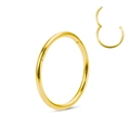 Polished gold stainless steel hinged segment ring for ear and nose body piercings - Gold