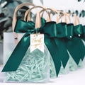Frosted gift bag with emerald green satin ribbon and thank you tag for presents - Forest Ribbon + Thank You Tag + Raffia