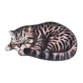 Tappetino da bagno antiscivolo 3D a forma di gatto tigrato realistico per decorazione casa - Gatto Tigrato