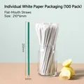 Pack of 100 green eco-friendly straws 210x6mm individually wrapped in white paper - 6*210mm Flat Thin Green Straws-100pcs White Paper Wrap
