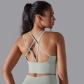 Pale green seamless ribbed yoga bra featuring multiple criss-cross back straps - S / Criss Cross Bra / Light Gray