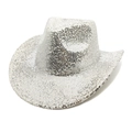 Silver sequined western cowboy hat for party stage performances on white background - Silver Sequin Heart Pattern