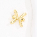 Detailed view of a golden Pisces zodiac sign pendant with a polished metallic finish - Pisces