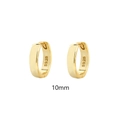Classic 10mm gold plated S925 sterling silver hoop earrings for men and women - Golden (10mm)