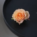 Haarklammer und Brosche als orange-rosa Seidenrose mit Farbverlauf für Damen - Engel Rose / Orangerosa