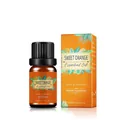 10ml pure organic sweet orange essential oil in dark glass bottle with packaging box - Sweet Orange Oil