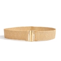 Detail of woven straw elastic belt in beige with a round gold metal buckle on white background - 5cm Wide / PP Straw Khaki Gold Buckle