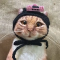 Handmade knitted orange cat headwear with pink curlers and black ties for pets - Black
