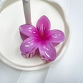 Molla per capelli a fiore di frangipane rosa lucido su piatto per vacanze al mare - 8cm / Rosa Prugna