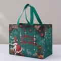 Green Christmas non-woven gift bag featuring Santa, snowman, and reindeer illustrations - Christmas Style 9