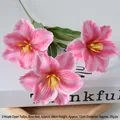 Open Tulip Rose Red