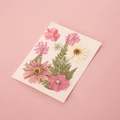 Getrocknete Blumen Set in Rosa und Lila für DIY Lesezeichen und kreatives Handwerk - Rot-Rosa Dame