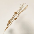 Golden glitter artificial Christmas stem with sparkling beads for festive decorations - With Berries / Champagne Gold