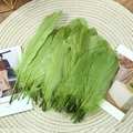 Detailed close-up of natural green goose feathers for DIY wedding decor and dream catchers - Stiff Army Green (50Pcs)