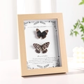 Rustic wood frame with double real butterfly specimens and inspirational English quotes - 6-inch Real Glass (Wall & Tabletop) / Natural Wood Color