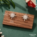 Orecchini a perno a fiocco di neve con zirconi e argento per la moda invernale chic - Orecchini a Lobo a Stella con Strass Argento