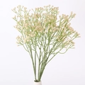 Artificial baby's breath bouquet in cream yellow with realistic green stems for decor - Champagne