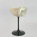 Artistic shell wine glass with natural pearl finish and elegant slim black stem - Black Base Silver Turban Snail Wine Glass