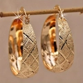 Detailed view of gold hoop earrings with lattice texture and stardust finish on a branch - Gold Rhombus Stardust Frosted