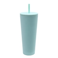 Minimalist light blue frosted double-layer plastic tumbler with matching straw and lid - 750ml / Light Green