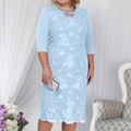 Elegantes hellblaues Midi-Spitzenkleid mit Blumenstickerei und Dreiviertelärmeln - S / Himmelblau