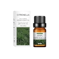 10ml Citronella water-soluble aromatherapy oil in brown glass bottle with paper box - Citronella