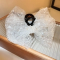 White lace lily flower hair claw clip with transparent beads and black shark jaw grip - White Sequin Bow Claw Clip (27#)